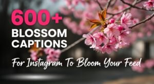 blossom captions