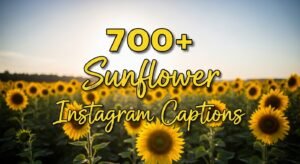 sunflower Instagram captions